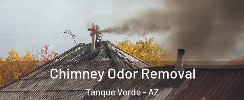  Chimney Odor Removal Tanque Verde - AZ